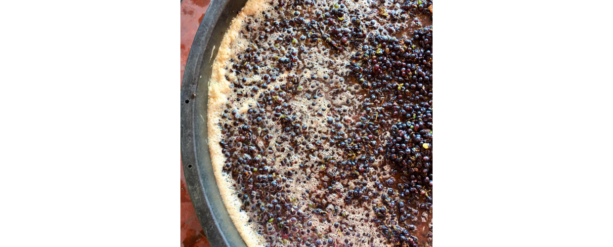 Il traguardo del vignaiolo: Alla scoperta dei vini naturali con La Valigia di Bacco 